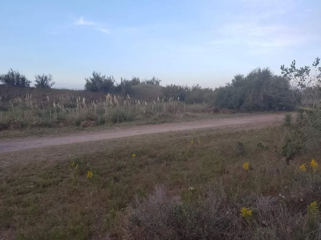 Lote a la venta en Las Toninas con bases y planos
