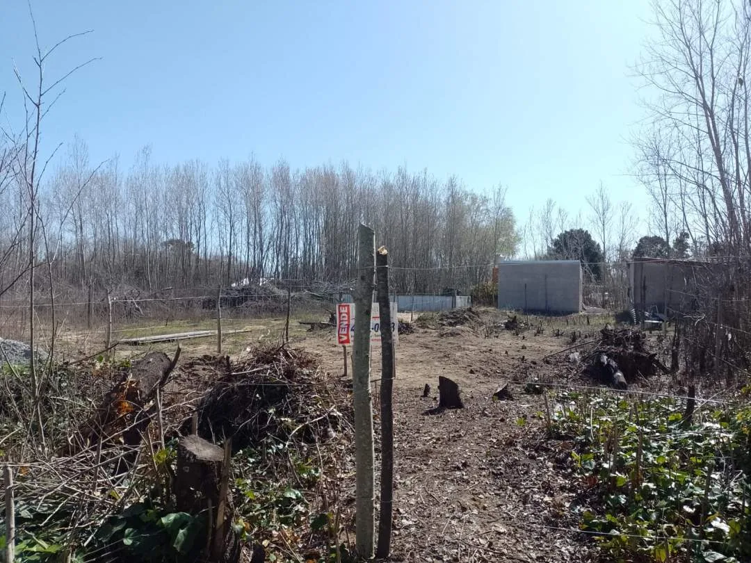 LOTE BALDIO EN LAS TONINAS