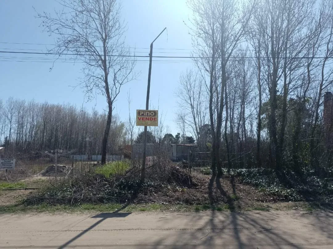 LOTE BALDIO EN LAS TONINAS