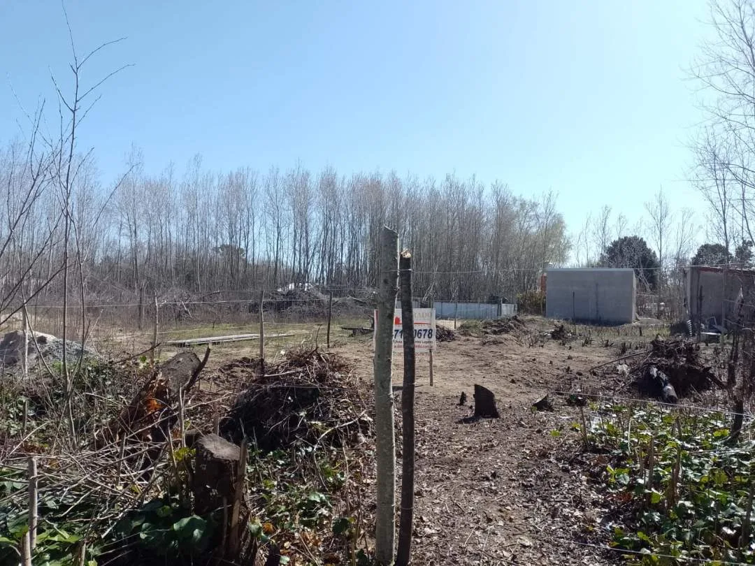 LOTE BALDIO EN LAS TONINAS