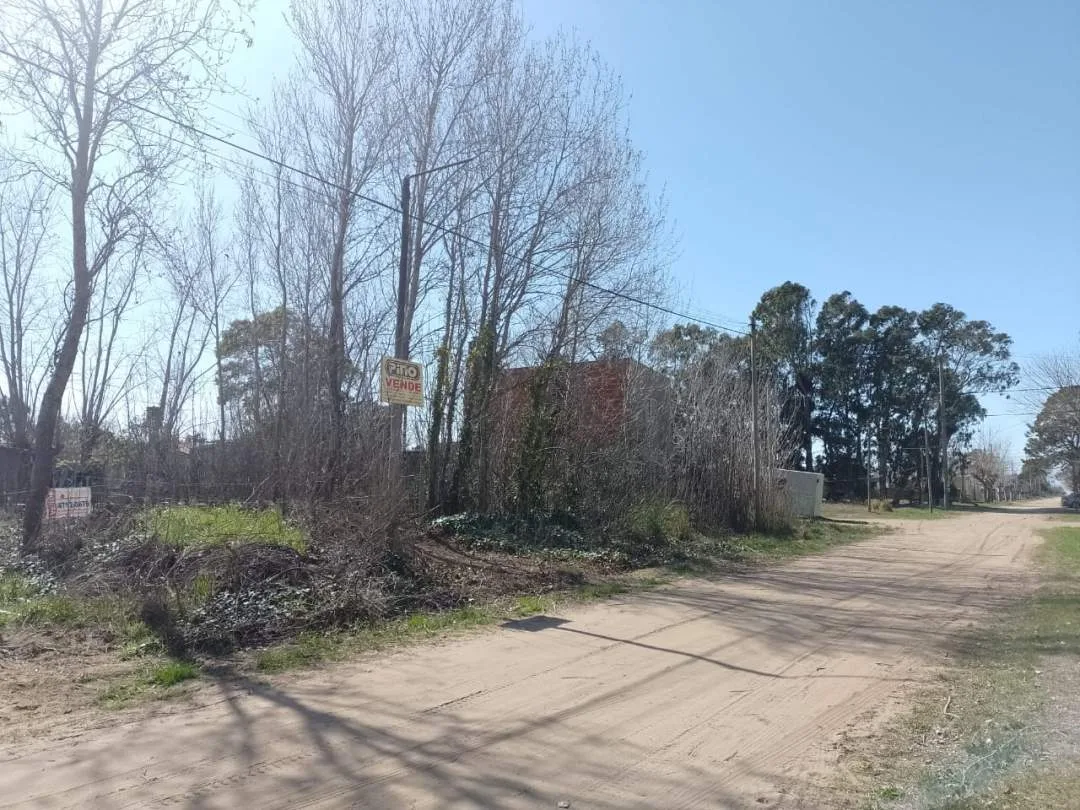 LOTE BALDIO EN LAS TONINAS
