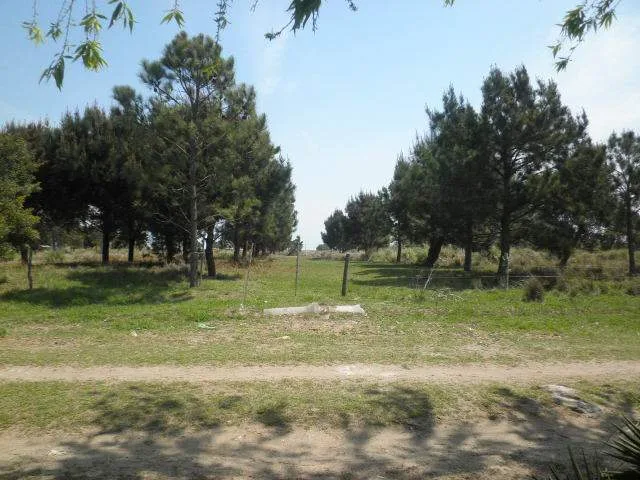 EXCELENTE LOTE CON PLANOS EN LAS TONINAS