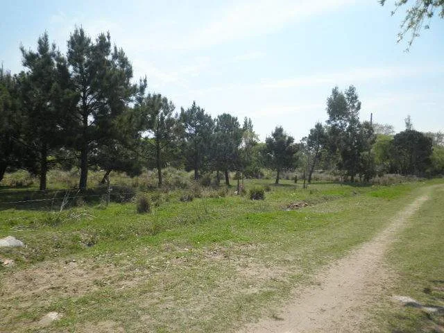 EXCELENTE LOTE CON PLANOS EN LAS TONINAS