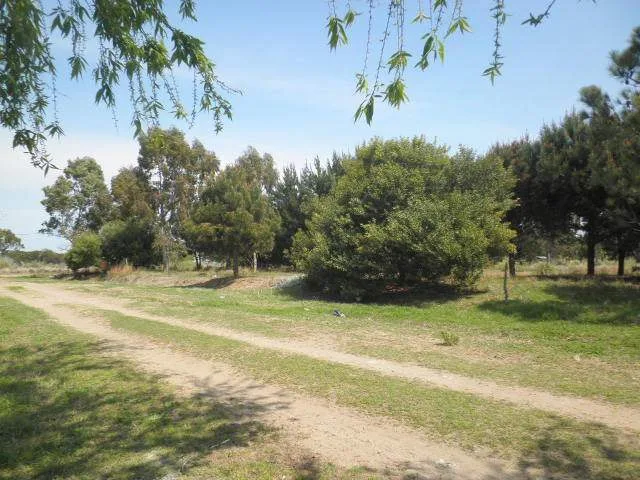 EXCELENTE LOTE CON PLANOS EN LAS TONINAS