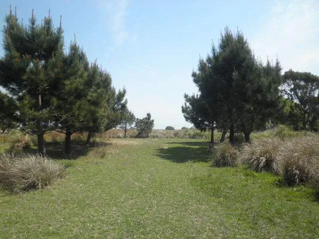 EXCELENTE LOTE CON PLANOS EN LAS TONINAS