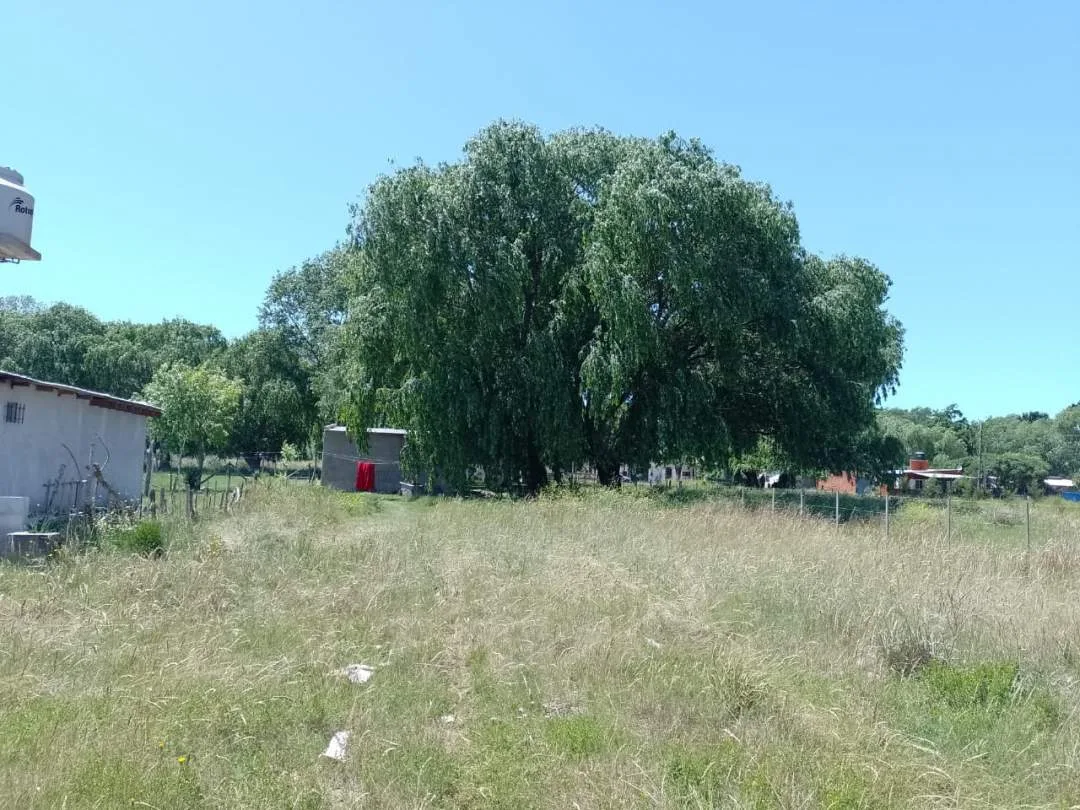 TERRENO BALDIO A LA VENTA EN LAS TONINAS