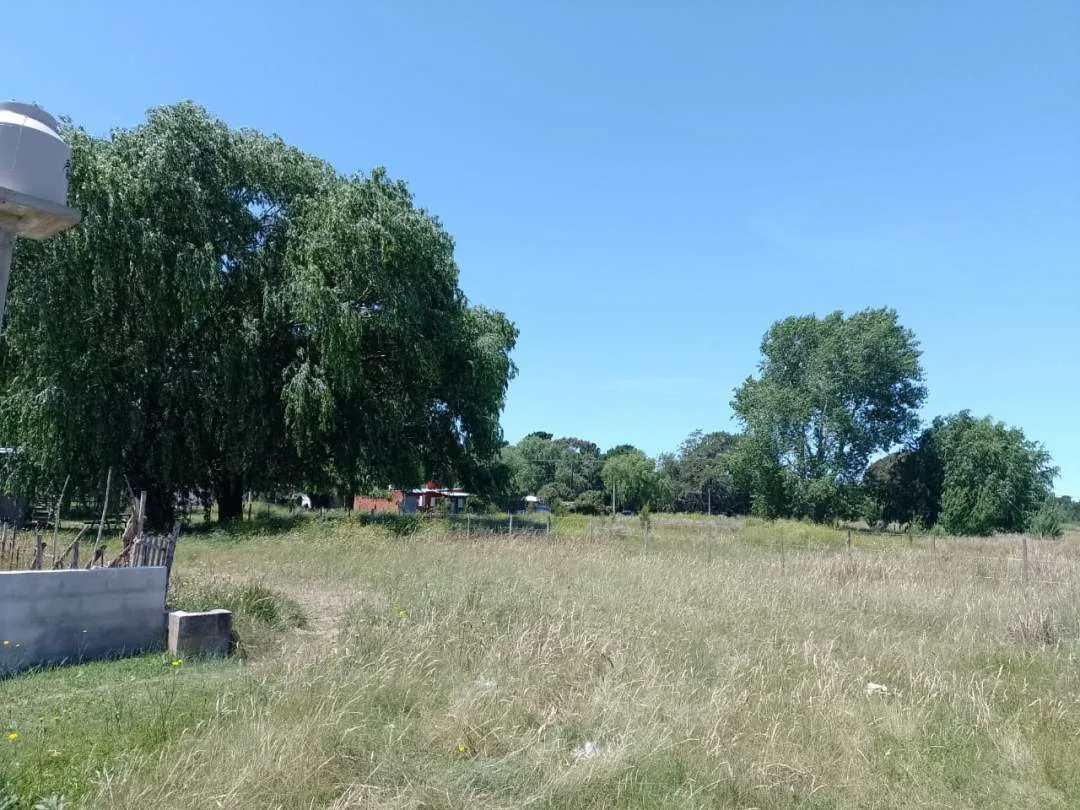 TERRENO BALDIO A LA VENTA EN LAS TONINAS