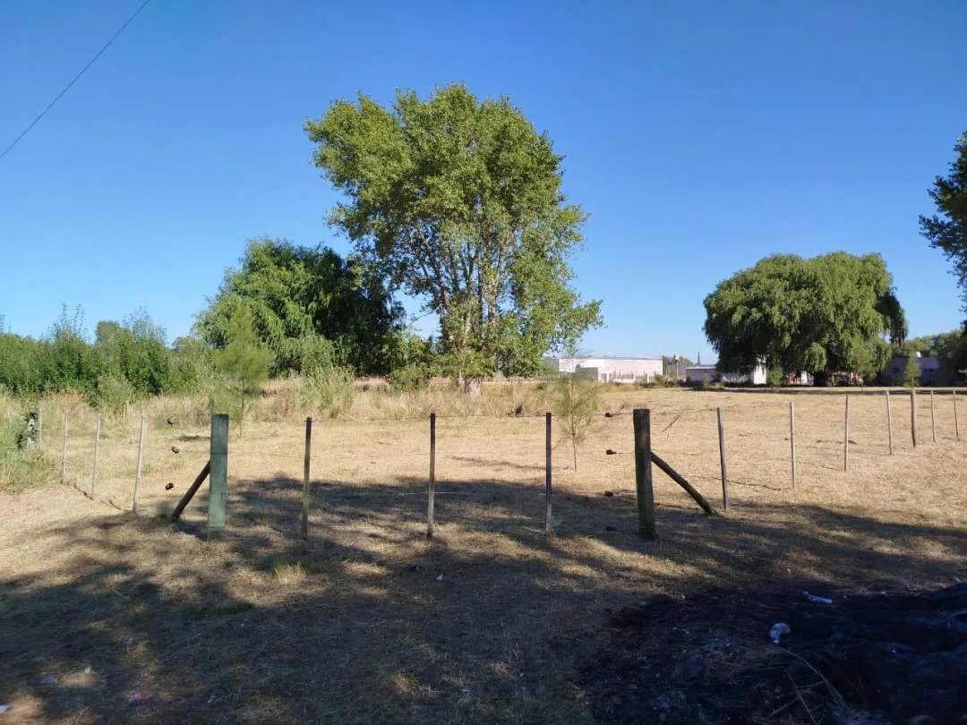 LOTE FINANCIADO EN LAS TONINAS