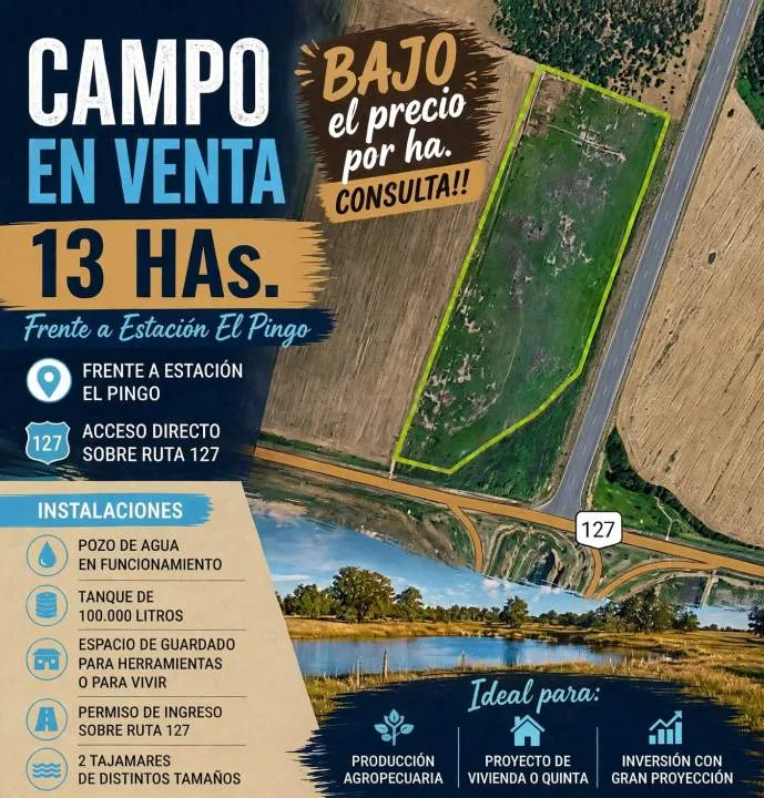 CAMPO para inversiones variadas, sobre RUTA 127, ER.