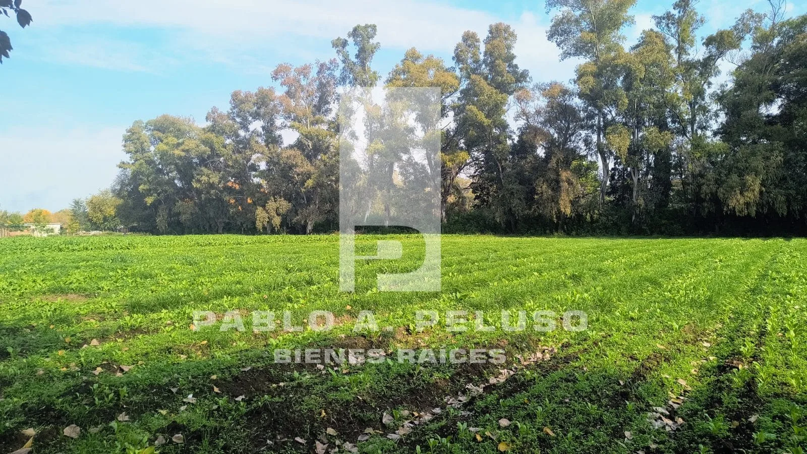 VENTA LOTE EN CUARTEL V, MORENO. ZONA OESTE. BUENOS AIRES.