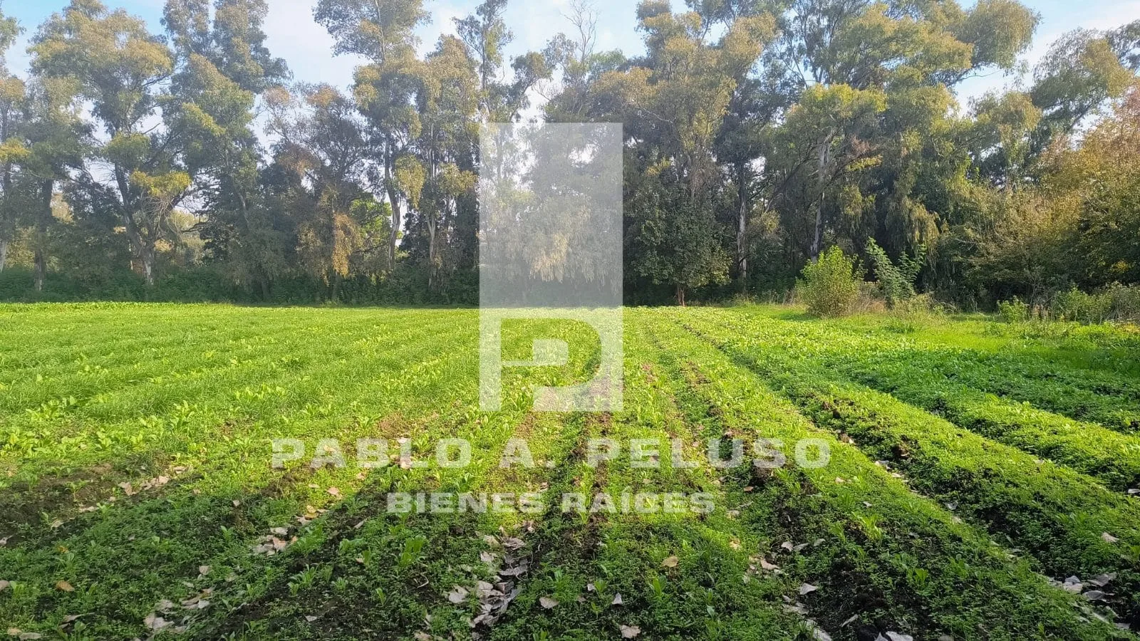 VENTA LOTE EN CUARTEL V, MORENO. ZONA OESTE. BUENOS AIRES.