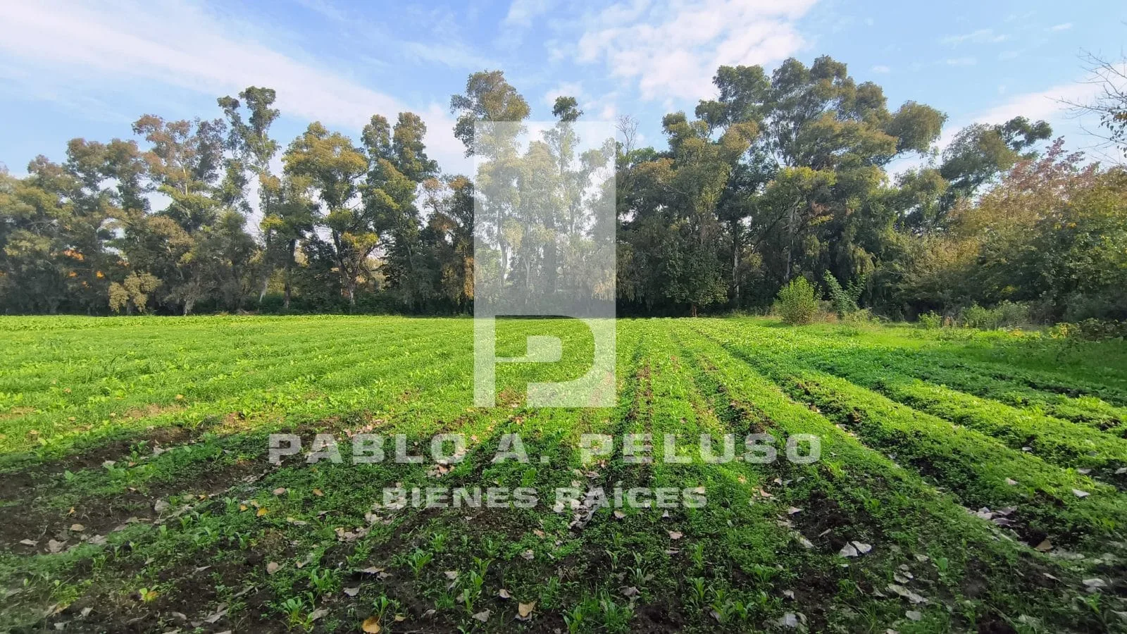 VENTA LOTE EN CUARTEL V, MORENO. ZONA OESTE. BUENOS AIRES.