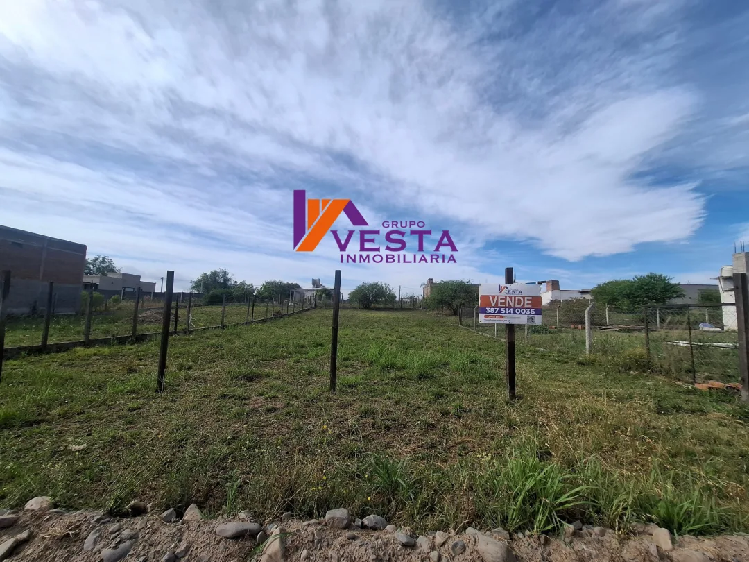 LOS NOGALES-TERRENO-VENTA-RUTA 24-SALTA