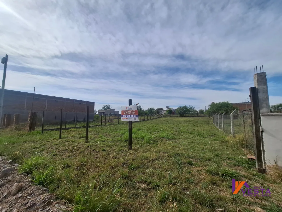 LOS NOGALES-TERRENO-VENTA-RUTA 24-SALTA