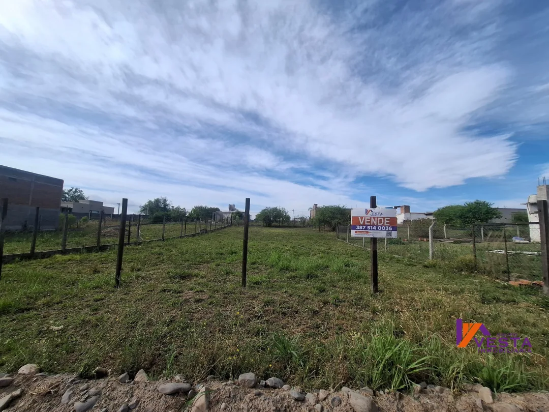 LOS NOGALES-TERRENO-VENTA-RUTA 24-SALTA