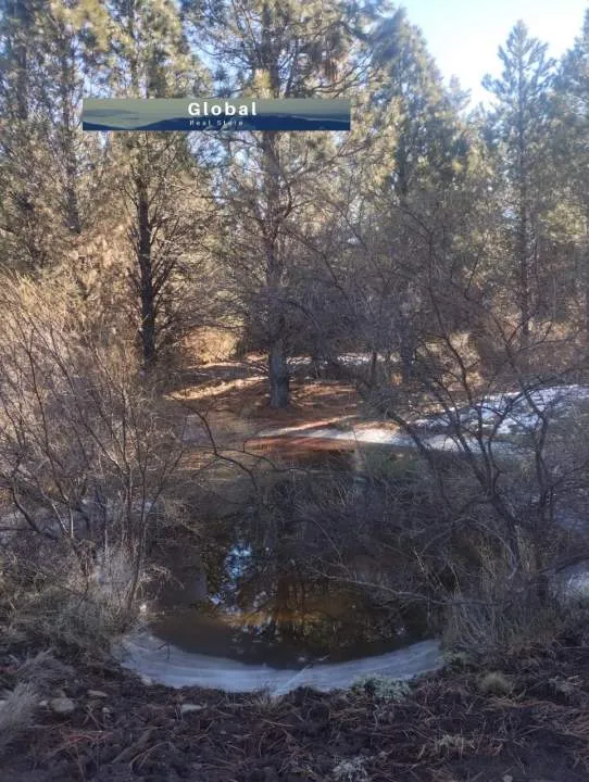EXCELENTE PARCELA 2 Has COSTA RÍO QUILQUIHUE, SAN MARTÍN DE LOS ANDES PATAGONIA ARGENTINA