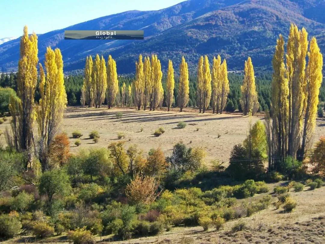 Fabulosos Lotes Barrio Privado Nóregon San Martín De Los Andes, Patagonia Argentina