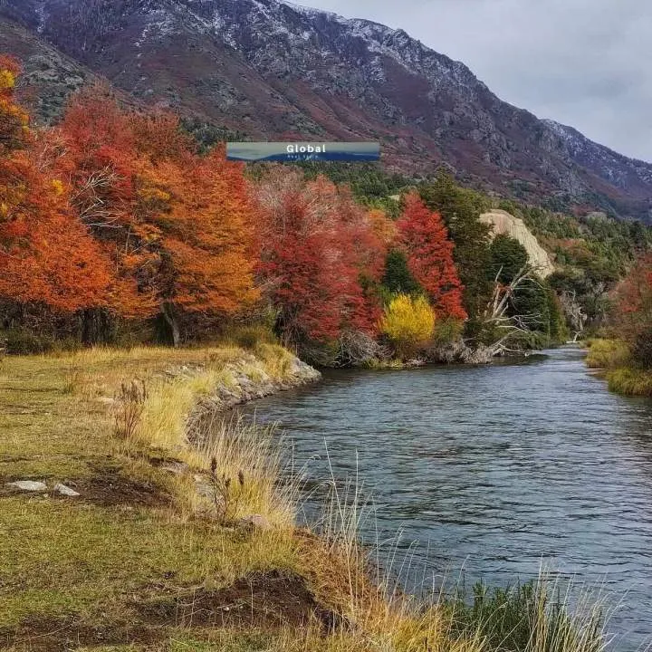 EXCELENTE CAMPO RUTA SIETE LAGOS, SAN MARTÍN DE LOS ANDES PATAGONIA ARGENTINA