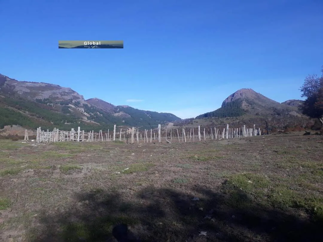 EXCELENTE CAMPO RUTA SIETE LAGOS, SAN MARTÍN DE LOS ANDES PATAGONIA ARGENTINA