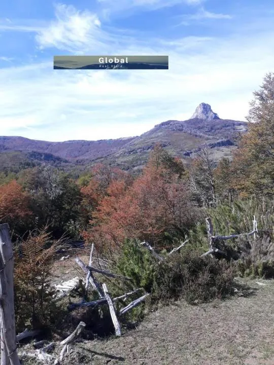 EXCELENTE CAMPO RUTA SIETE LAGOS, SAN MARTÍN DE LOS ANDES PATAGONIA ARGENTINA