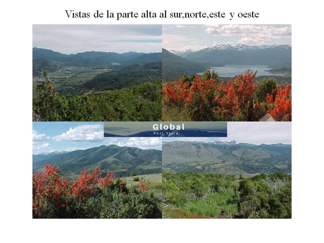 Fracción Única De 32 Has, Proyecto Urbanístico Loma Redonda, San Martín De Los Andes Patagonia Argentina