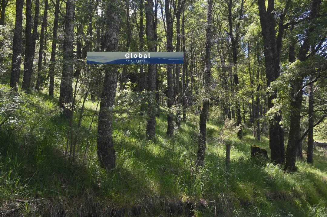 Lote Callejón De Torres, San Martín De Los Andes Patagonia Argentina