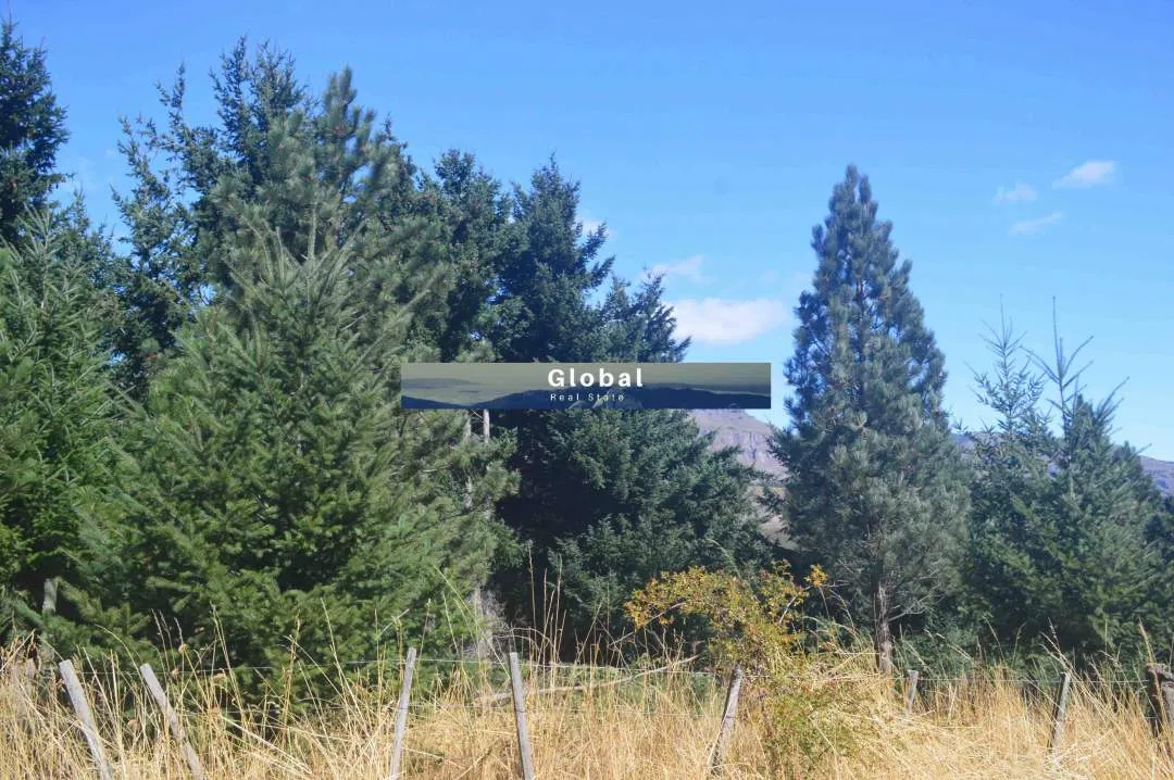 Fabulosa Fracción De 2,34 Has En Barrio Ruca Hue, San Martín De Los Andes Patagonia Argentina