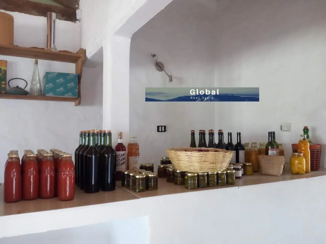 Excelente Finca De 31 Has En San Rafael , Mendoza Zona Vitivinícola Argentina