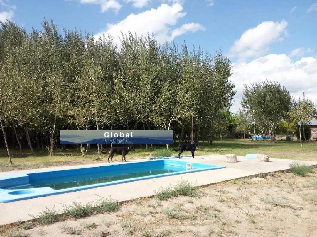 Excelente Finca De 31 Has En San Rafael , Mendoza Zona Vitivinícola Argentina
