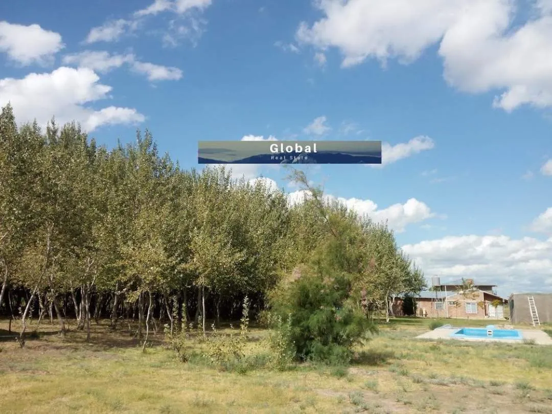 Excelente Finca De 31 Has En San Rafael , Mendoza Zona Vitivinícola Argentina