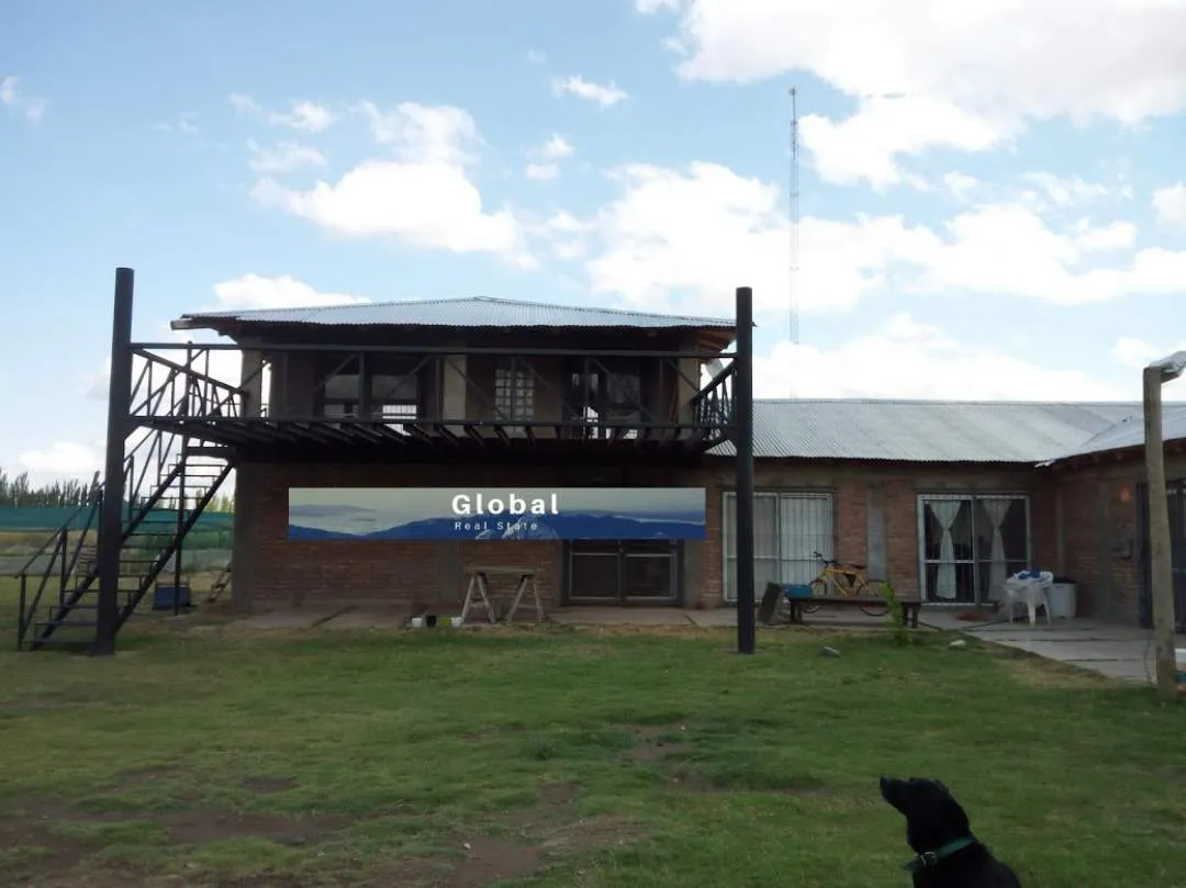 Excelente Finca De 31 Has En San Rafael , Mendoza Zona Vitivinícola Argentina