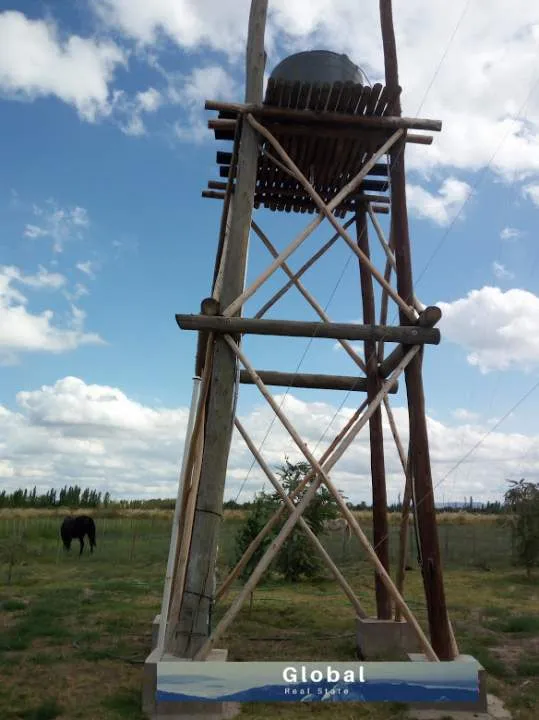 Excelente Finca De 31 Has En San Rafael , Mendoza Zona Vitivinícola Argentina