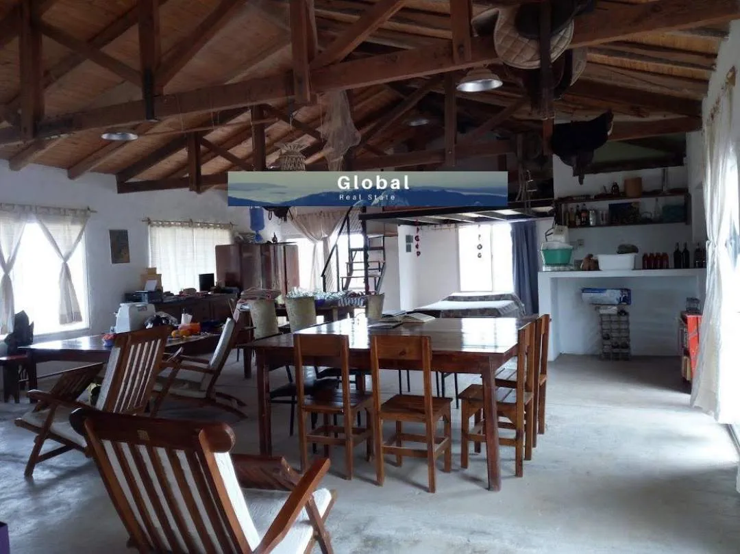 Excelente Finca De 31 Has En San Rafael , Mendoza Zona Vitivinícola Argentina