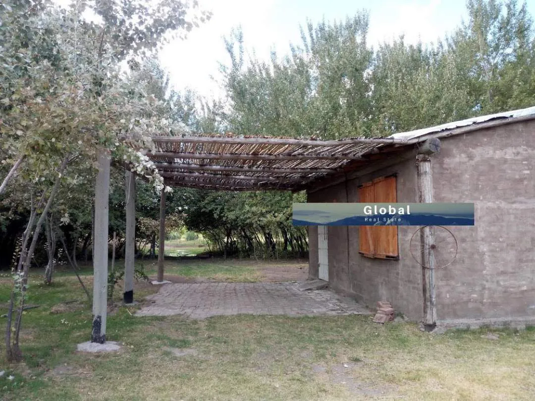 Excelente Finca De 31 Has En San Rafael , Mendoza Zona Vitivinícola Argentina