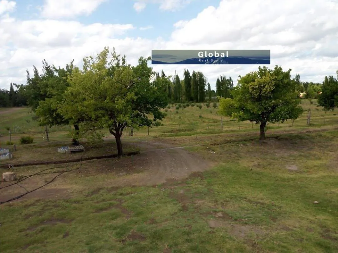 Excelente Finca De 31 Has En San Rafael , Mendoza Zona Vitivinícola Argentina
