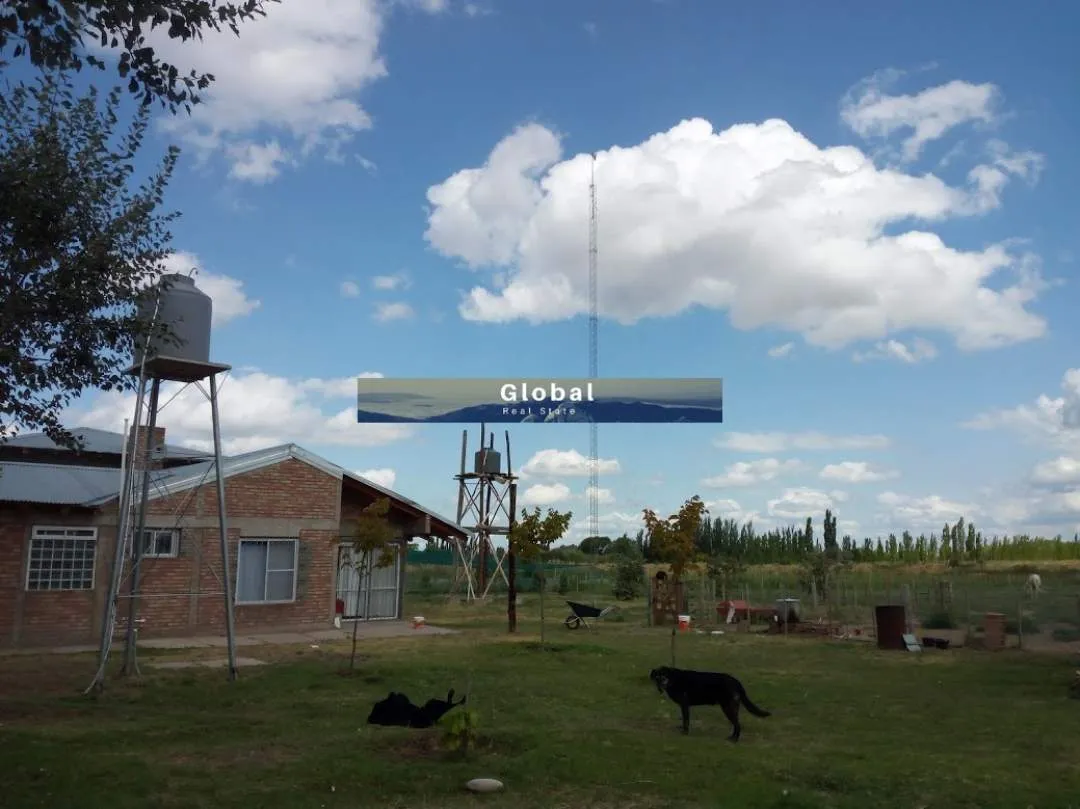 Excelente Finca De 31 Has En San Rafael , Mendoza Zona Vitivinícola Argentina