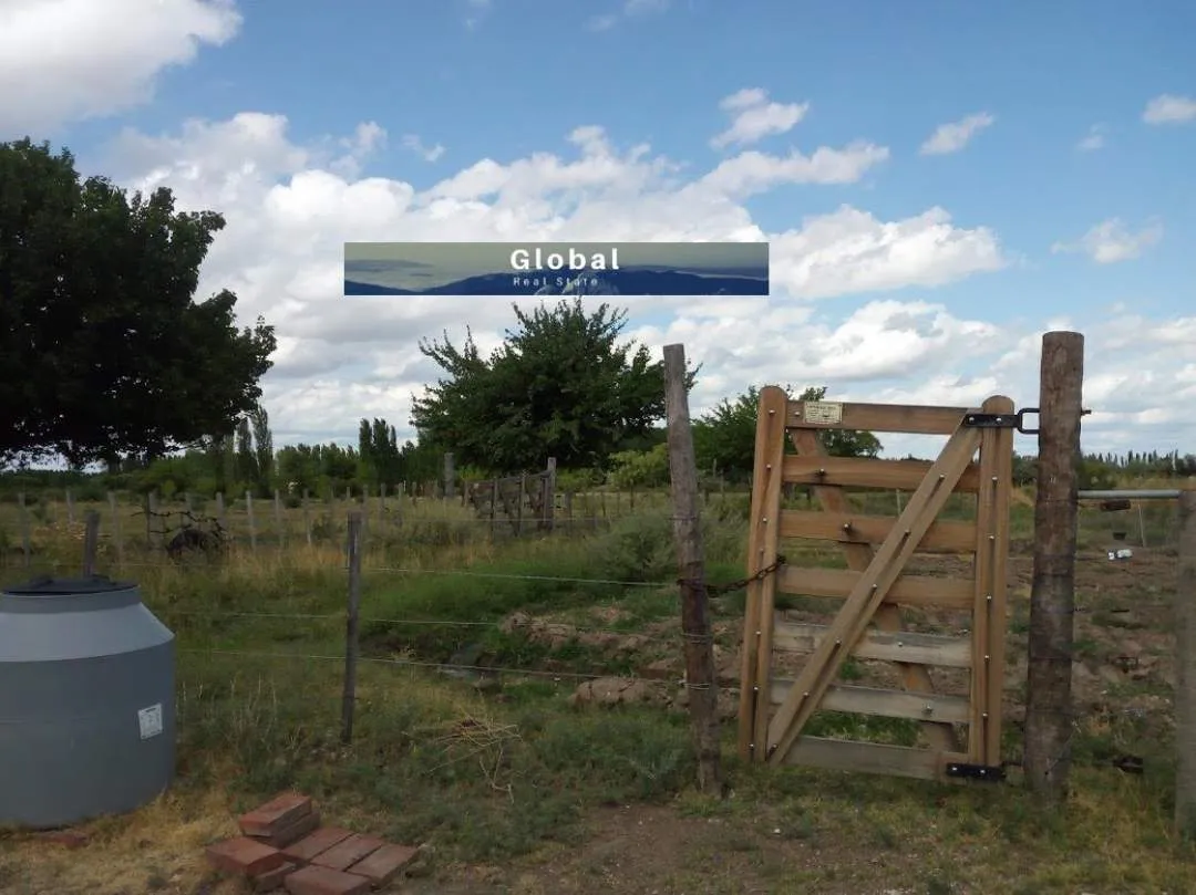 Excelente Finca De 31 Has En San Rafael , Mendoza Zona Vitivinícola Argentina