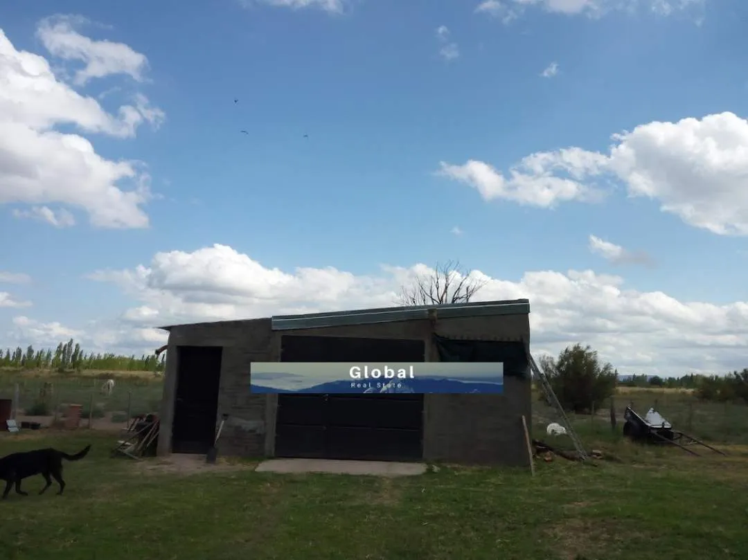 Excelente Finca De 31 Has En San Rafael , Mendoza Zona Vitivinícola Argentina