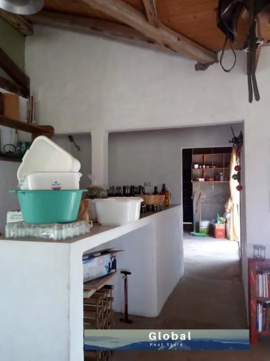 Excelente Finca De 31 Has En San Rafael , Mendoza Zona Vitivinícola Argentina