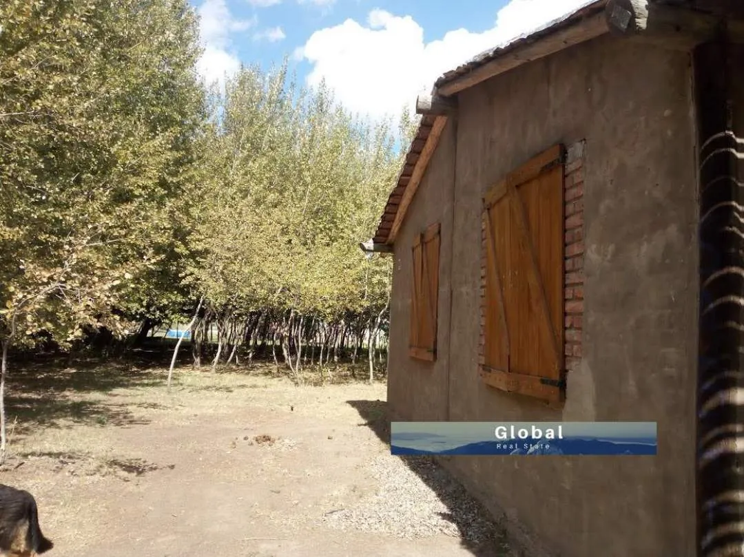 Excelente Finca De 31 Has En San Rafael , Mendoza Zona Vitivinícola Argentina