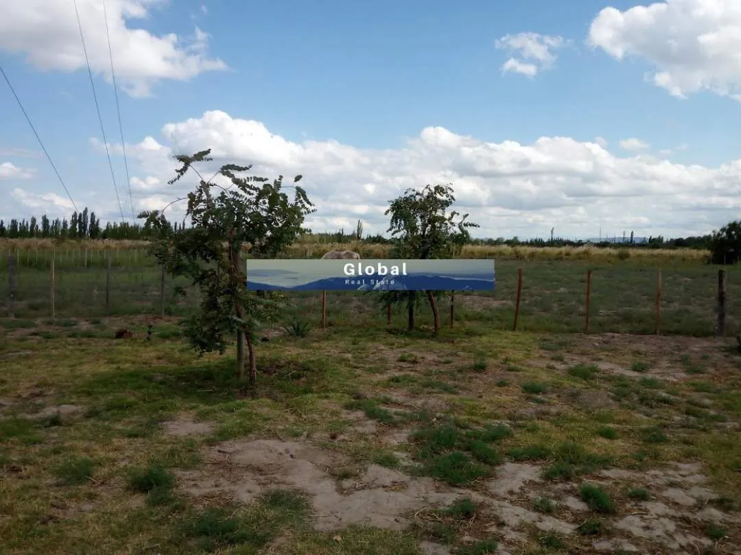 Excelente Finca De 31 Has En San Rafael , Mendoza Zona Vitivinícola Argentina