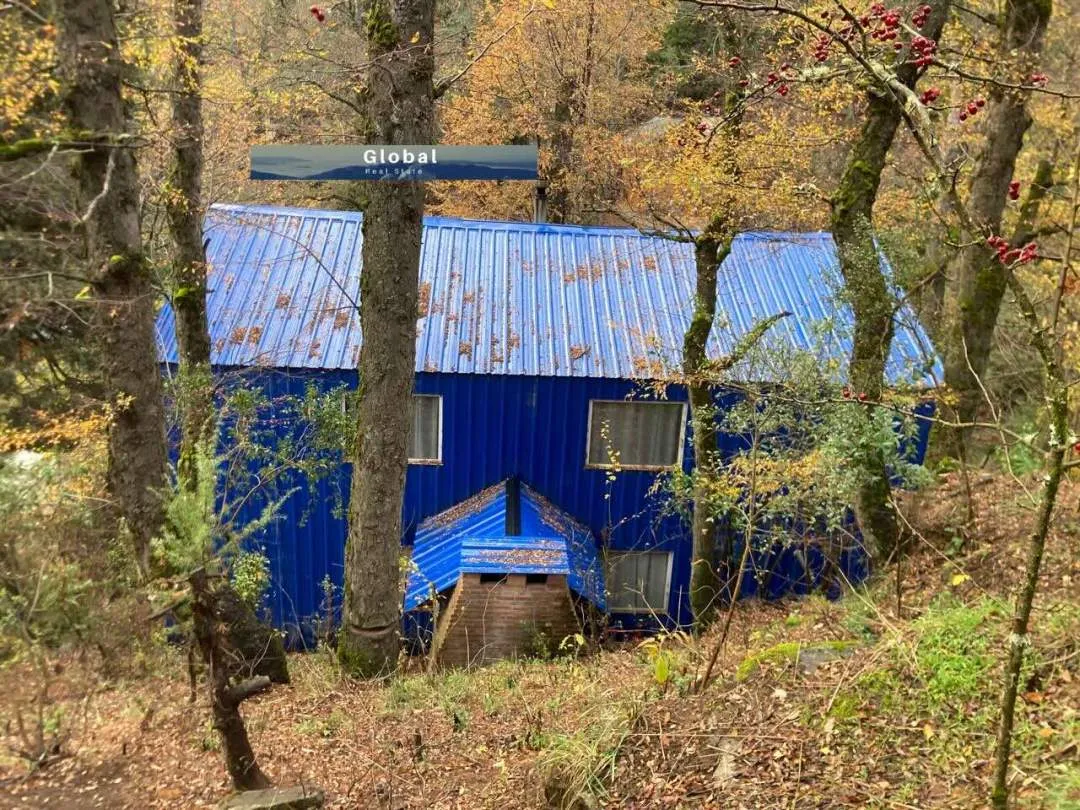 Moderna Casa Calle Los Helechos, San Martín De Los Andes Patagonia Argentina