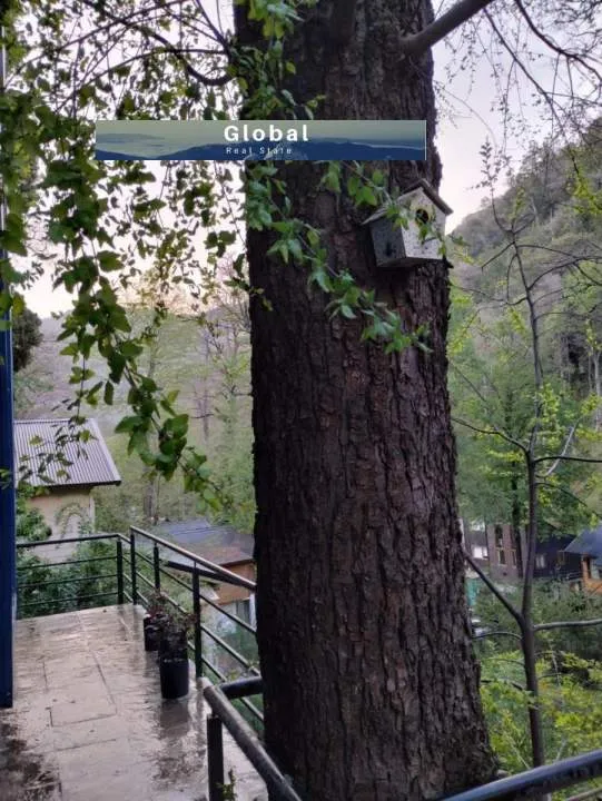 Moderna Casa Calle Los Helechos, San Martín De Los Andes Patagonia Argentina