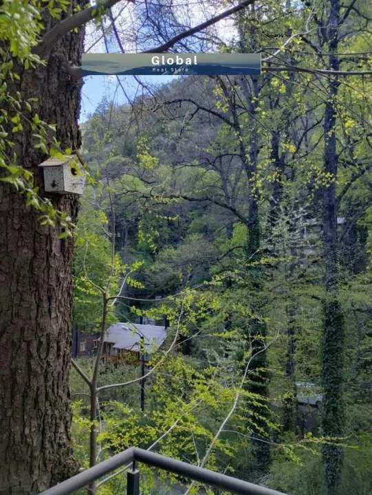Moderna Casa Calle Los Helechos, San Martín De Los Andes Patagonia Argentina