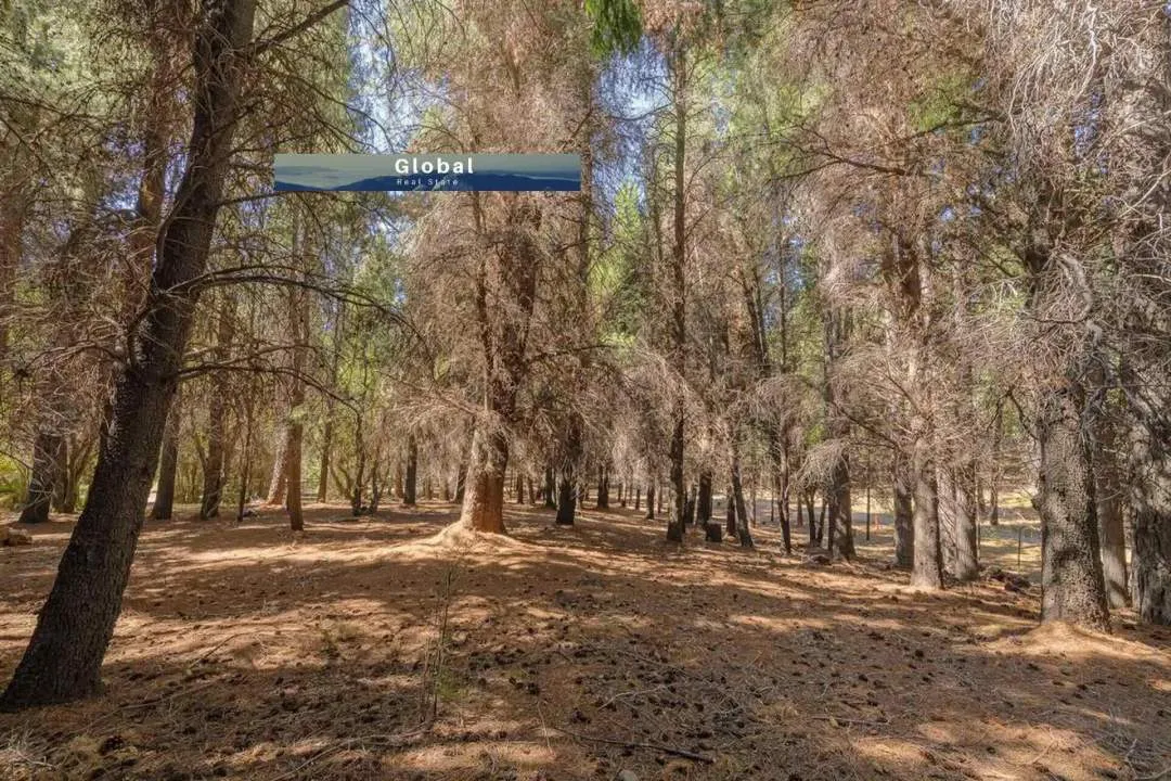 CASA LAGO LOLOG, SAN MARTÍN DE LOS ANDES PATAGONIA ARGENTINA