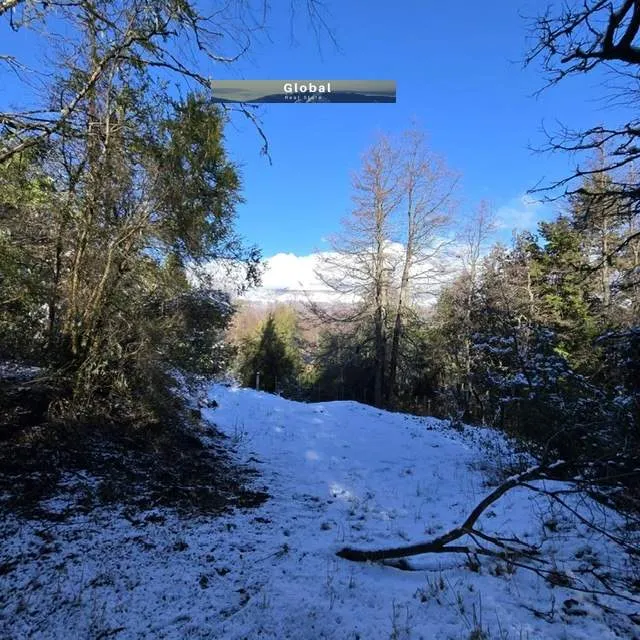 FRACCIÓN DE 7 Has SAN MARTÍN DE LOS ANDES, PATAGONIA ARGENTINA