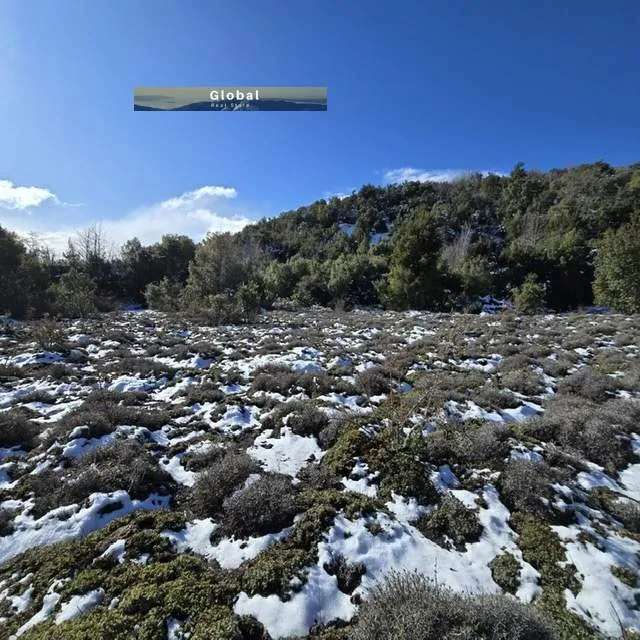 FRACCIÓN DE 7 Has SAN MARTÍN DE LOS ANDES, PATAGONIA ARGENTINA