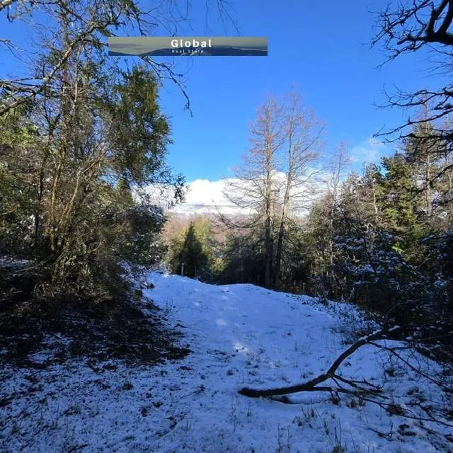 FRACCIÓN DE 7 Has SAN MARTÍN DE LOS ANDES, PATAGONIA ARGENTINA