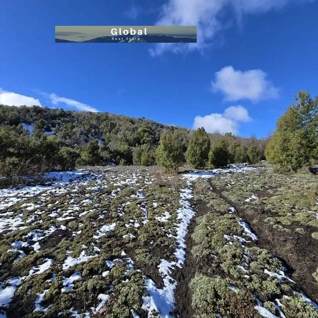 FRACCIÓN DE 7 Has SAN MARTÍN DE LOS ANDES, PATAGONIA ARGENTINA