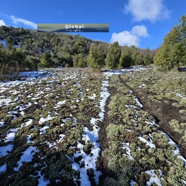 FRACCIÓN DE 7 Has SAN MARTÍN DE LOS ANDES, PATAGONIA ARGENTINA